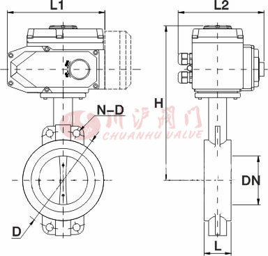 D971X、D941X电动软密封蝶阀结构图