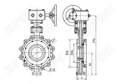 D373H、D373Y_美标蝶阀_结构图