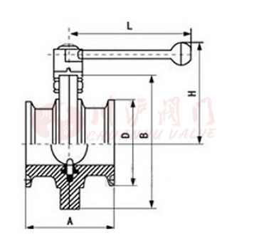 卫生级蝶阀结构图