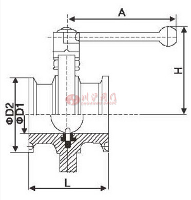 卫生级快装蝶阀结构图