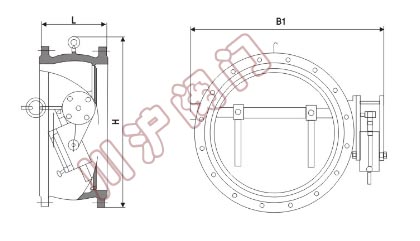 蝶式缓冲止回阀结构图